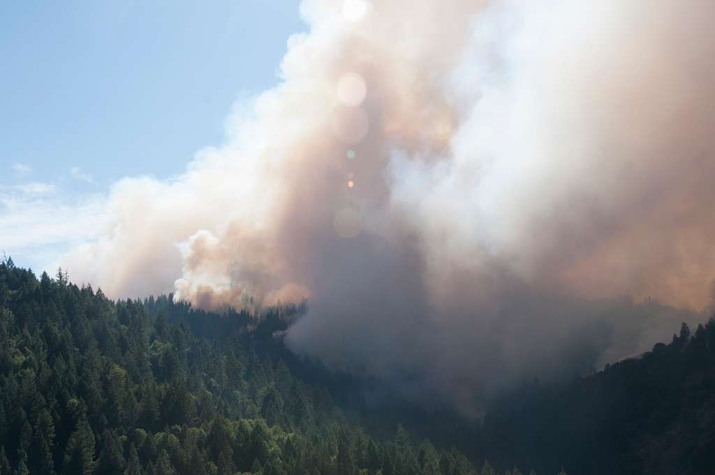 Skogsbrand i nordamerika